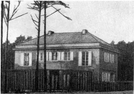 Берлин-Целендорф. Дом Перлса, 1911 г. Л. Мис ван дер Роэ. Общий вид