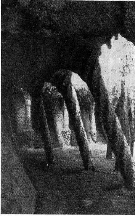Барселона. Парк Гуэль, 1903—1908 гг. Гауди. 